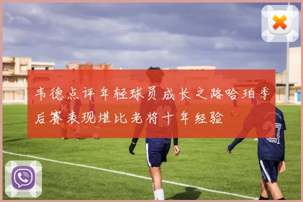 韦德点评年轻球员成长之路哈珀季后赛表现堪比老将十年经验
